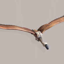 Load image into Gallery viewer, Vulture Wooden Mobile Bird - WoodwingsCreations
